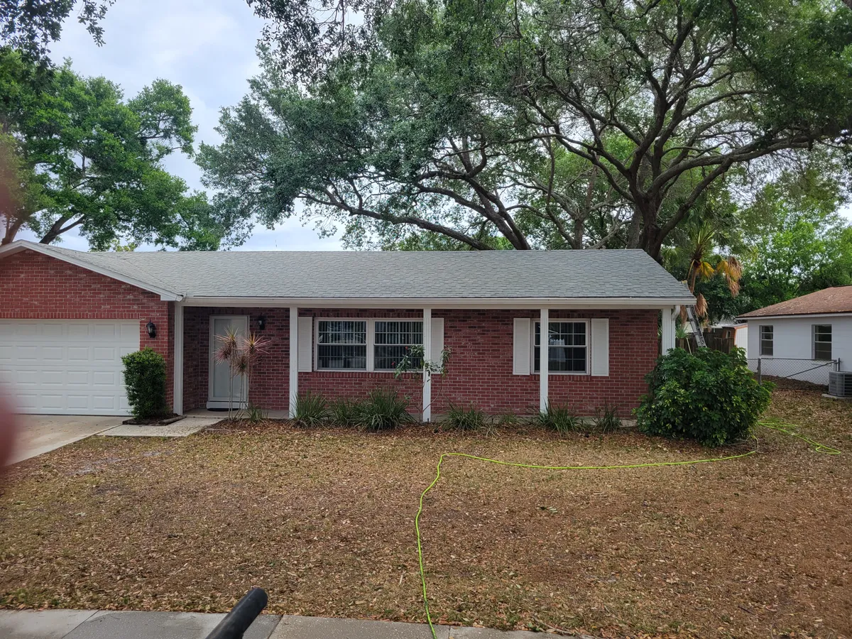 After: Black streak removal on a shingle roof. Low-pressure soft wash method, no damage.