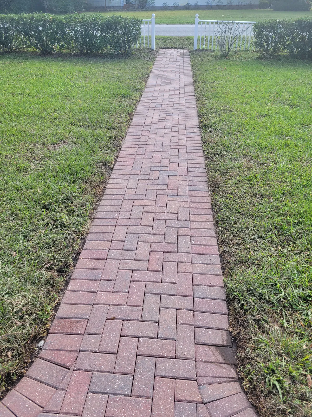 After: Brick paver walkway covered in moss and algae. Original color fully restored.